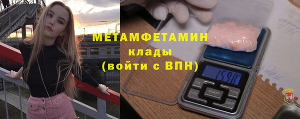 сатива Горняк