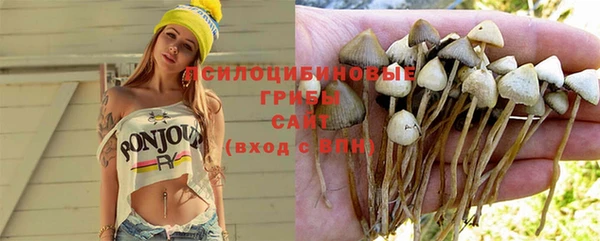 стафф Горнозаводск
